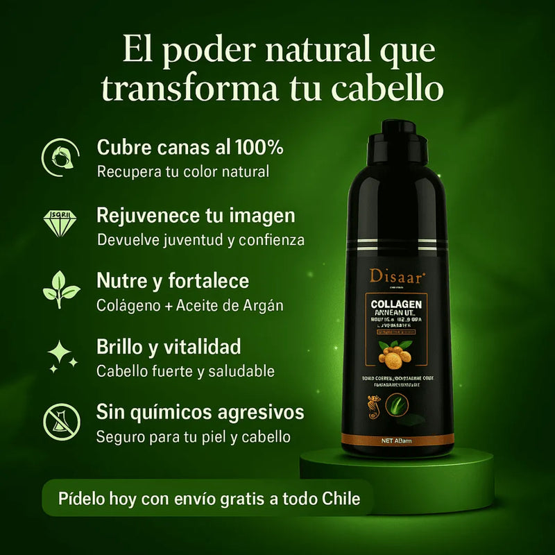 Dessar Tinte -en tu casa Chile - Santiago