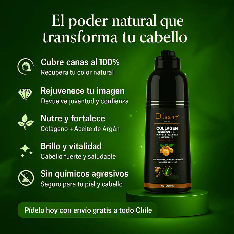 Dessar Tinte - Varietas Chile - Santiago