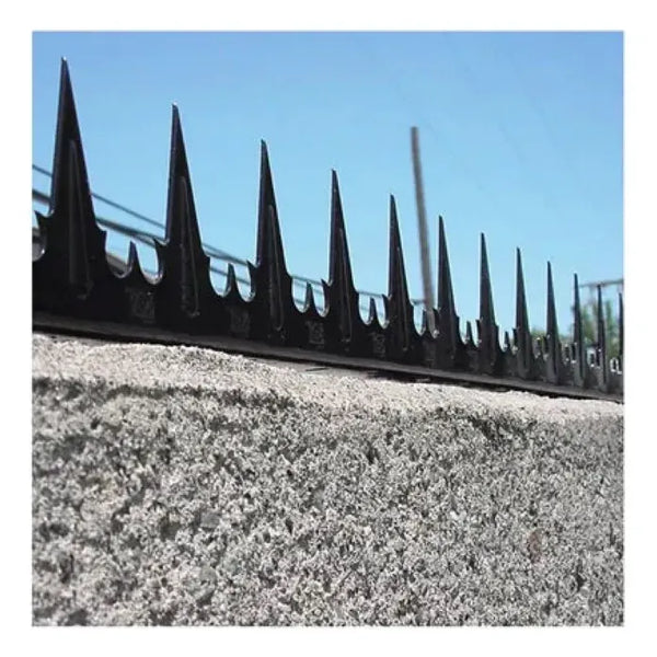 Pinches Punta Proteccion Tipo Pino Tira