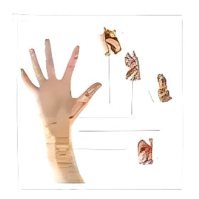 Muñequera Magnetica Atritis Tendinitis - Varietas Chile - Santiago
