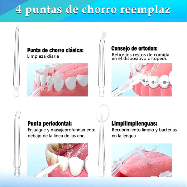 Irrigador Bucal Limpiador Dientes 4 Boqu - Varietas Chile - Santiago