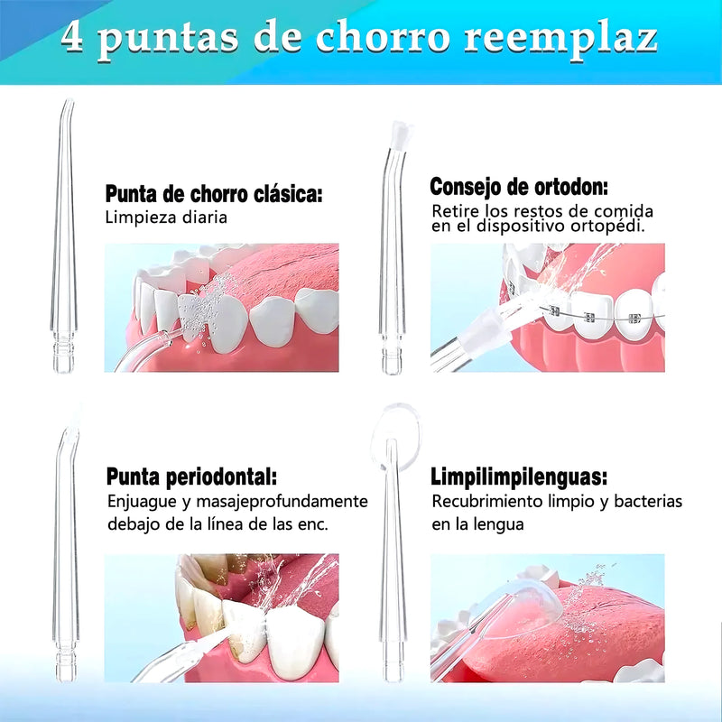 Irrigador Bucal Limpiador Dientes 4 Boqu - Varietas Chile - Santiago
