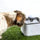 Fuente Agua Mascota 25 Litros 220V