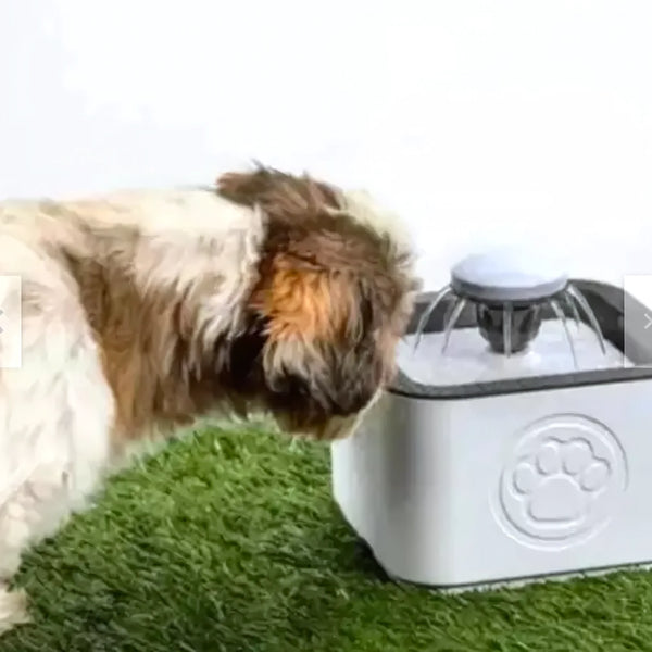 Fuente Agua Mascota 25 Litros 220V - Varietas Chile - Santiago