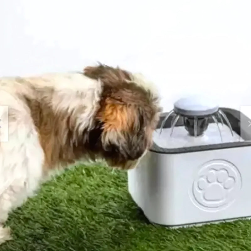 Fuente Agua Mascota 25 Litros 220V - Varietas Chile - Santiago
