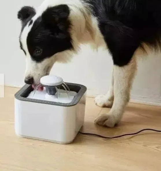 Fuente Agua Mascota 25 Litros 220V