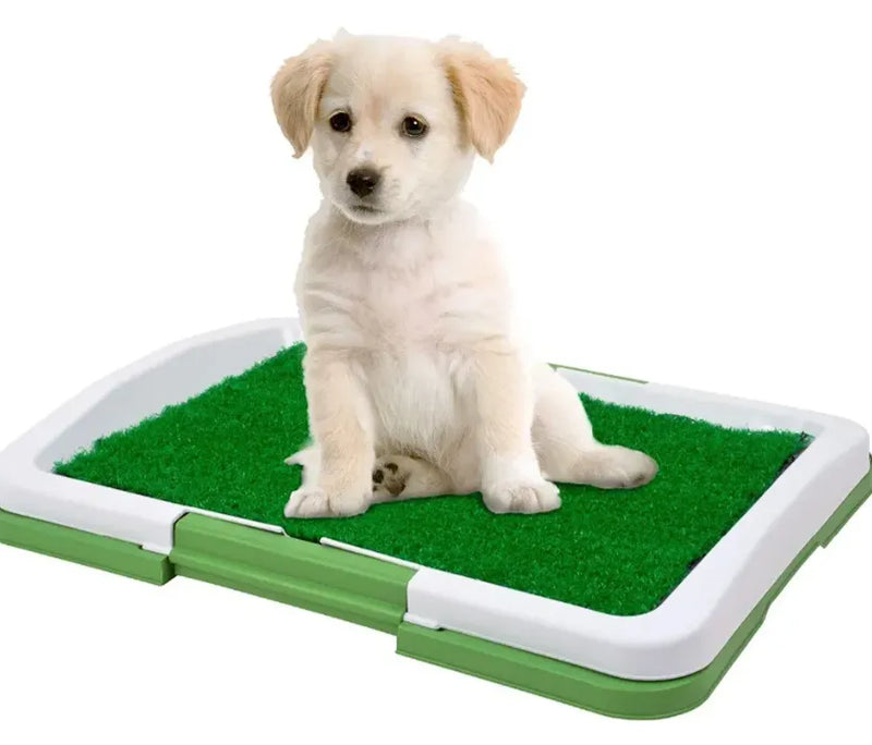 Pasto Sanitario Mascotas Perros Gatos