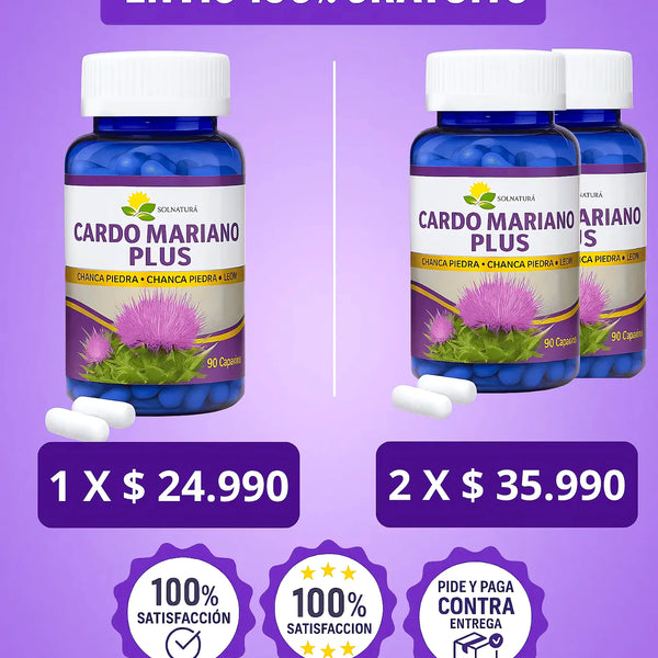 Cardo Mariano - Varietas Chile - Santiago