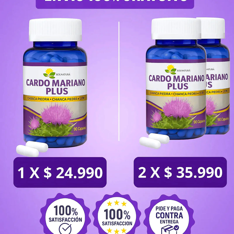 Cardo Mariano - Varietas Chile - Santiago