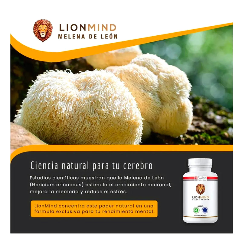 Lionmind Suplemento Con Melena De León - Varietas Chile - Santiago