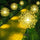 Luces De Navidad De Fuegos Artificiales