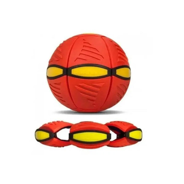 Pelota Frisbee